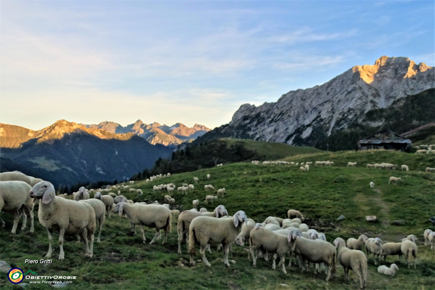 96 Gregge al tramonto rientra all'ovile.JPG